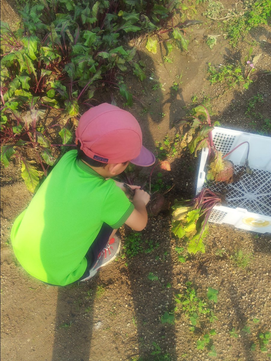 20120422Organic Farm20